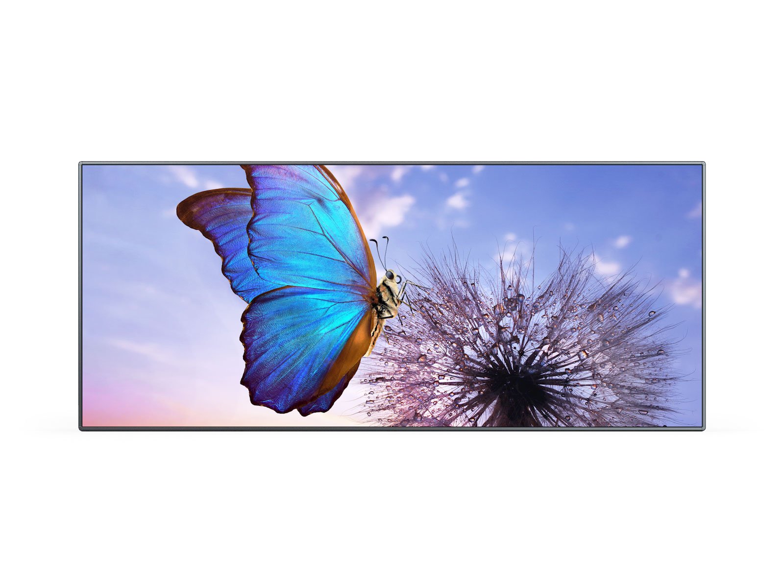 Sharp LD-FE093-104