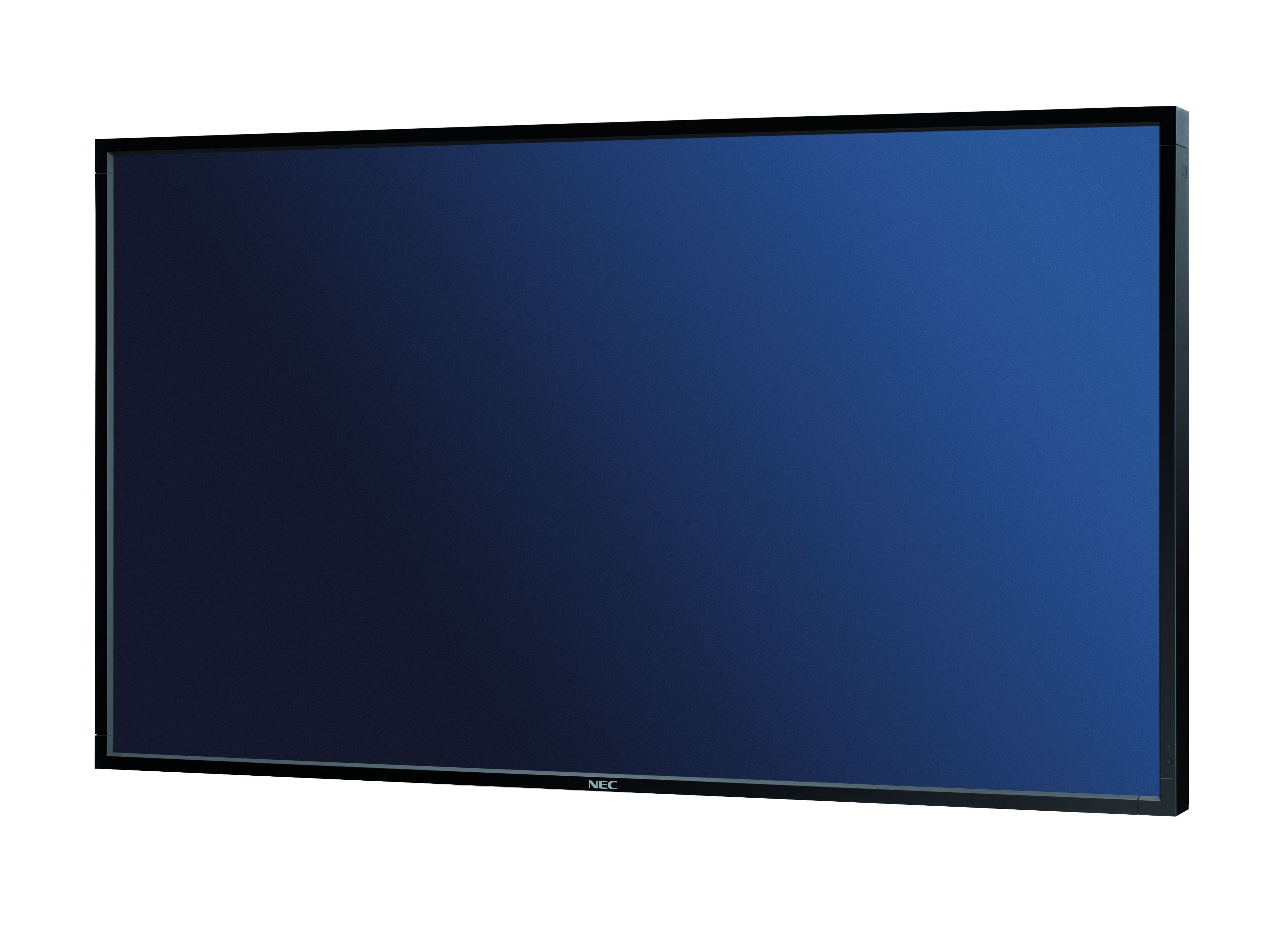 NEC MultiSync<sup>®</sup> P461
